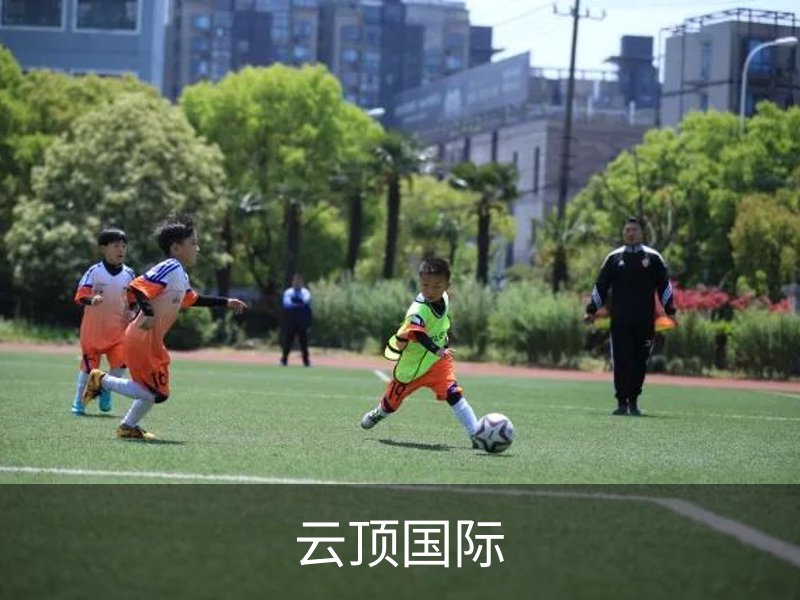 云顶国际概况